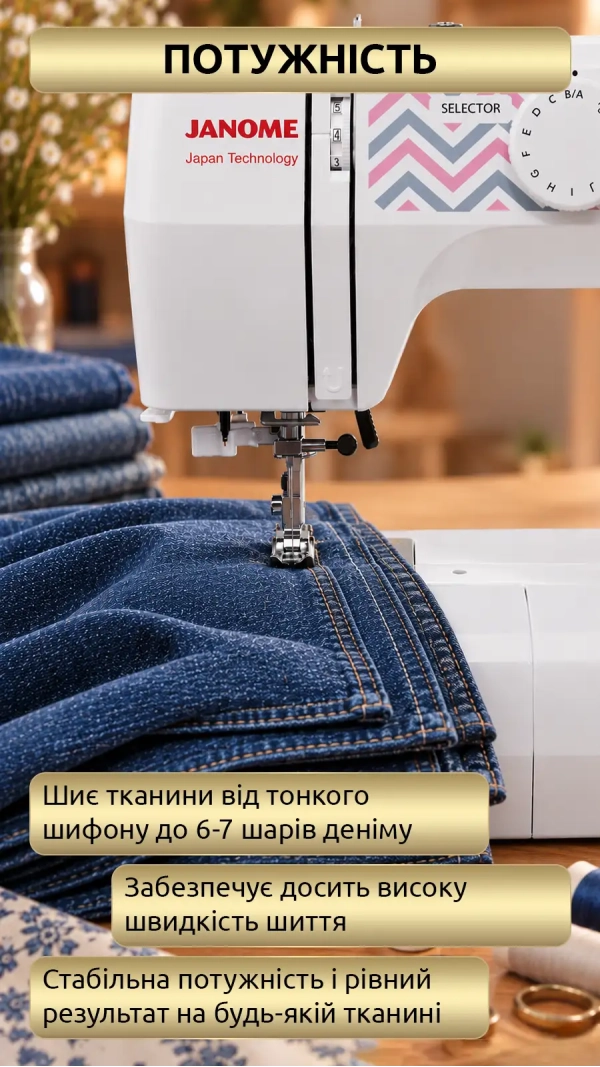 Швейная машина Janome XE 300